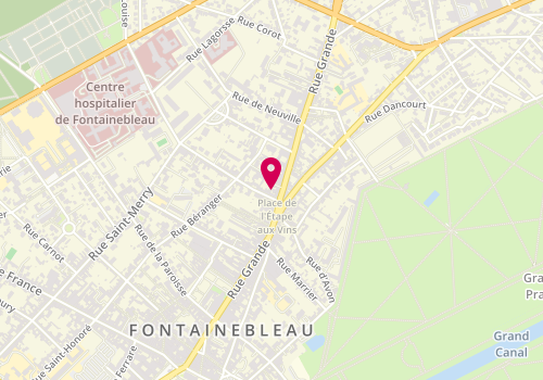Plan de BORDIER Valérie, 135 Rue Grande, 77300 Fontainebleau