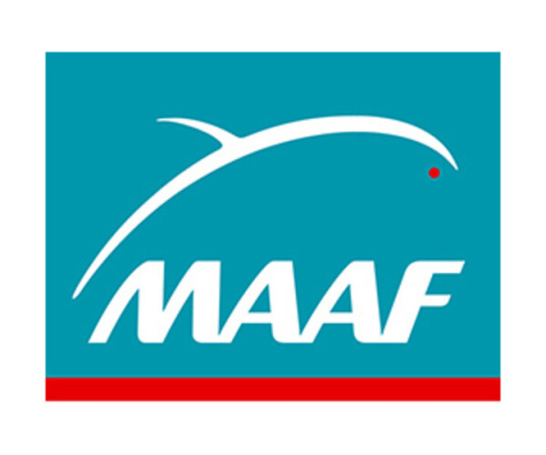 Maaf